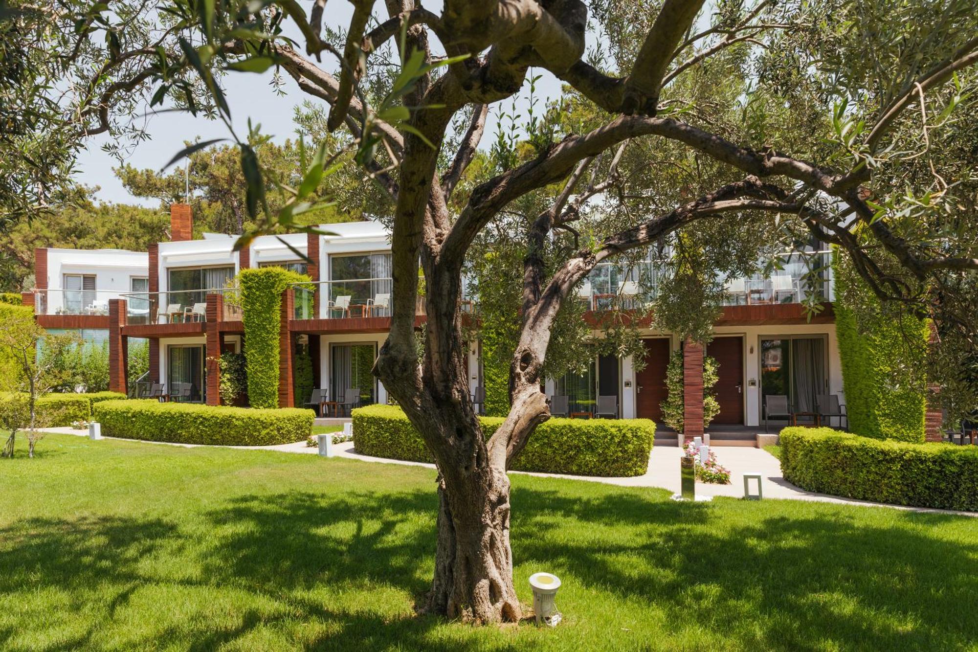 Ortunc Hotel - Cunda Island (Adults Only) Ayvalı Zewnętrze zdjęcie