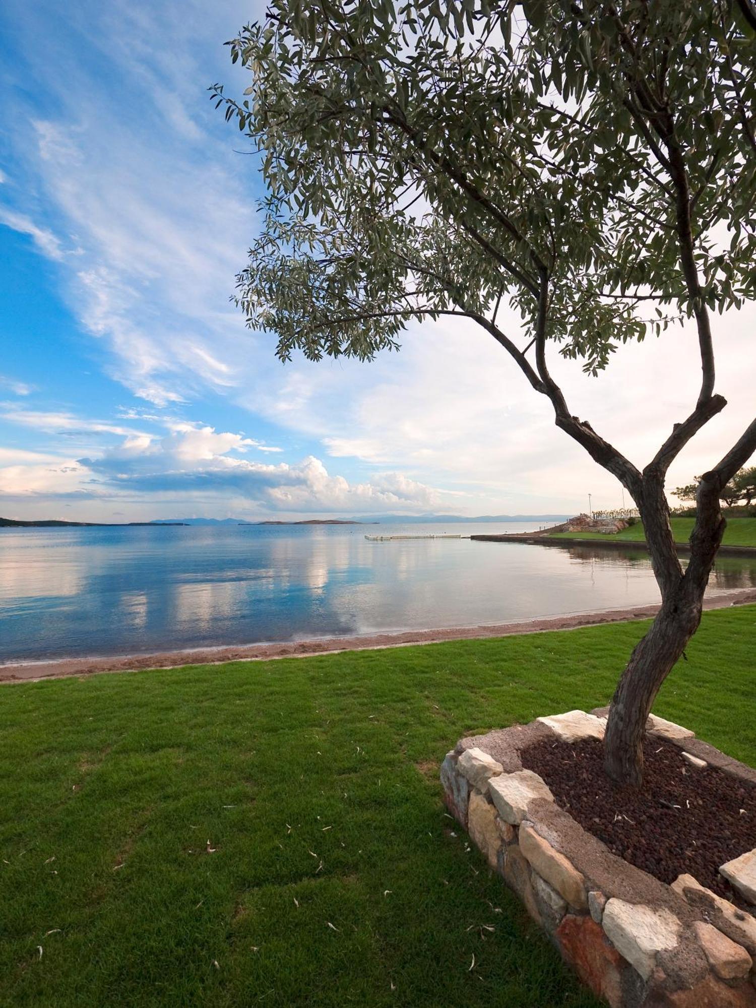 Ortunc Hotel - Cunda Island (Adults Only) Ayvalı Zewnętrze zdjęcie
